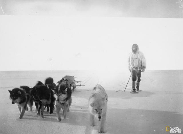 人类与狗共乘雪橇已有近万年历史