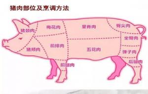 猪肉部位吃法介绍（猪肉哪个地方的肉好吃）