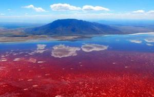纳特龙湖为什么是红色（纳特龙湖有多可怕）