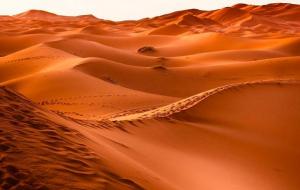 世界上最大的沙漠（撒哈拉沙漠）