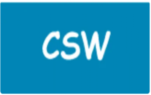 CSW是什么意思
