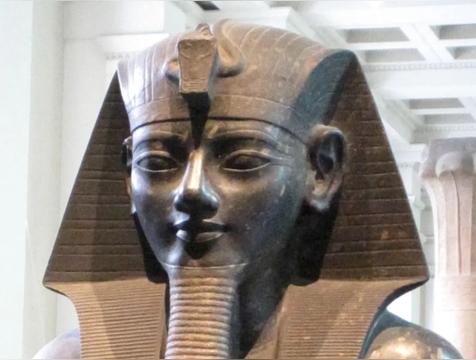 埃及法老是什么人种