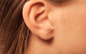 耳聪目明是什么意思