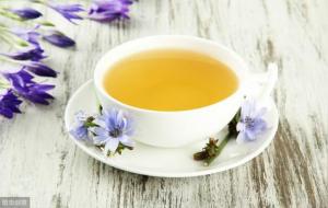 菊苣栀子茶有什么功效和作用