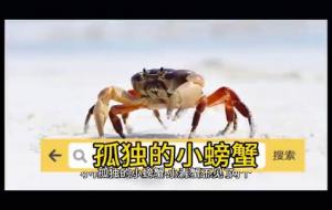 孤独的小螃蟹讲的是什么故事