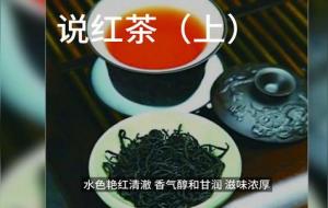 日月潭红茶属于什么档次