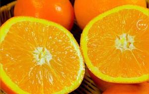 橙子属于寒性还是热性